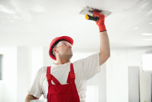 Best Drywall Sanding and Smoothing  in Carle Place, NY